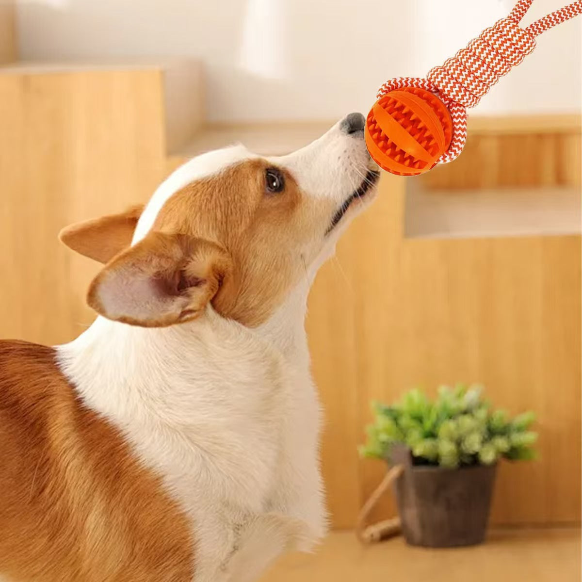 Rope & Treat Dispenser Dog Chew Toy